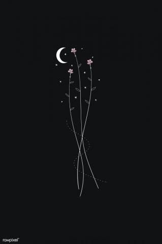 Bohemian Moon Wallpaper On