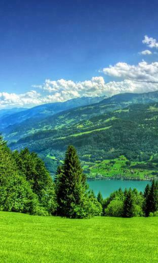 Nature Wallpaper