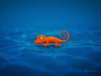 Gecko Wallpaper Pc M9d36e2 4usky