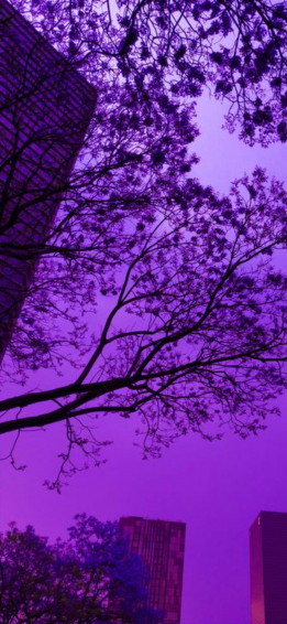 Dark Purple Aesthetic Wallpaper