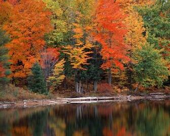 Nature Wallpaper For Windows Pixel