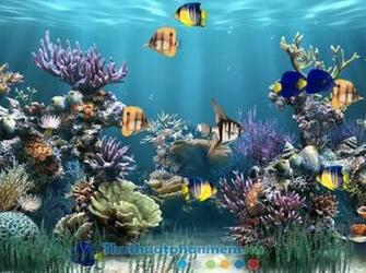 T O Nh Ng Cho Desktop B Animated Wallpaper Maker