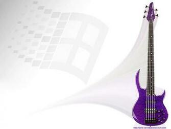 The Carvin Museum S