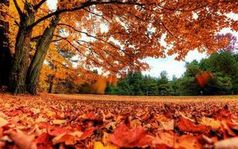 Best Macbook Pro Retina Ready Wallpaper