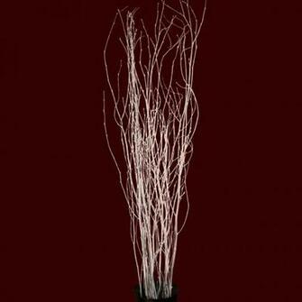 To Birch Branches Painted White Add A HD Walls Find Wallpaper