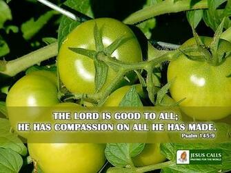 Related To HD Christian Bible Verse Greetings Card