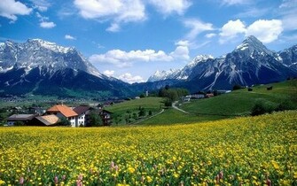 Golden Pictures Nature Wallpaper HD