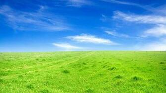 Spring Wallpaper