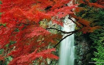 Fall Foliage Wallpaper For Desktop