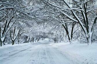 Snow Tunnel Pentax User Photo Gallery