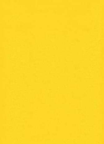 Yellow Paper