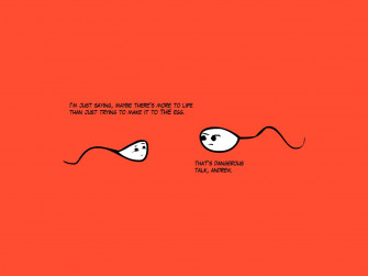 Funny Wallpaper