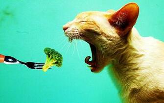 Animal Digital Art Wallpaper Creative Design