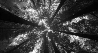 Image Result For Aesthetic Laptop Wallpaper
