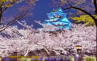 Osaka Wallpaper Best HD Image Of Hq