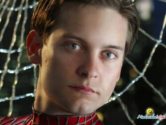 Tobey Maguire Desktop Wallpaper Hollywood Celebrities