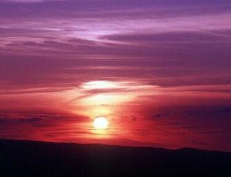 Pink Sunset Background