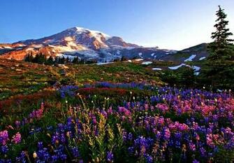Spring In Mountains Wallpaper