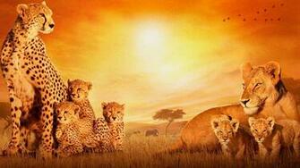 Africa Wallpaper HD