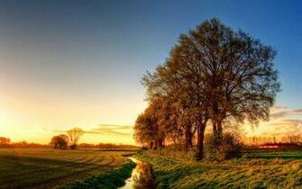 Wide Screen Desktop Wallpaper