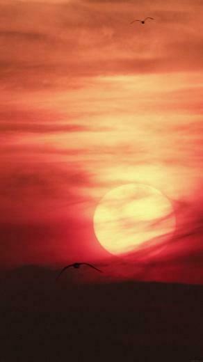 Red Sunset Desert iPhone Wallpaper