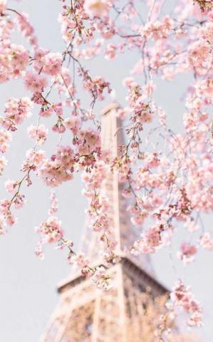 Cute Pink Wallpaper For iPhone That You Ll Love