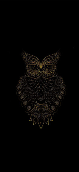 Bird iPhone Wallpaper
