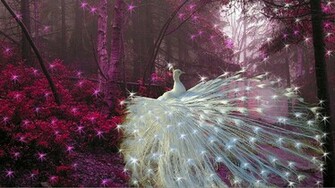 Nature Picture Wallpaper Desktop Beautiful
