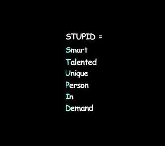 Funny Stupid Wallpaper