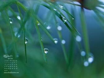 Stefan Stone April Showers Calendar Desktop Wallpaper