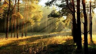 Summer Sunrise Desktop Pc And Mac Wallpaper