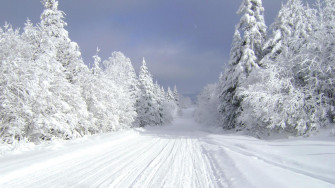 Tis The Season Outdoor Activities For A Wonderful Winter In