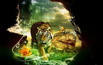Tigers Tiger