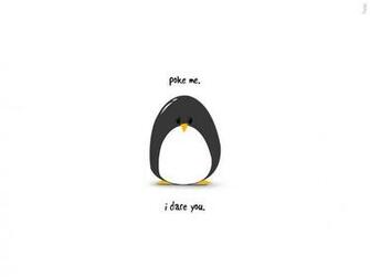 Funny Penguin Wallpaper Android Apk For
