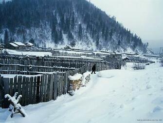 In Village Snowy Wallpaper Snow