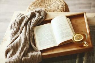 Drink Tea And Read A Great Book In Hot Summer Day