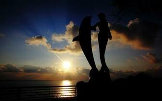 Sunset Dolphin Mermaid HD Wallpaper New