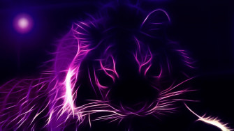Cool Laptop Background Wallpaper