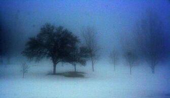 Love Me In The Mist By Julie Lueders