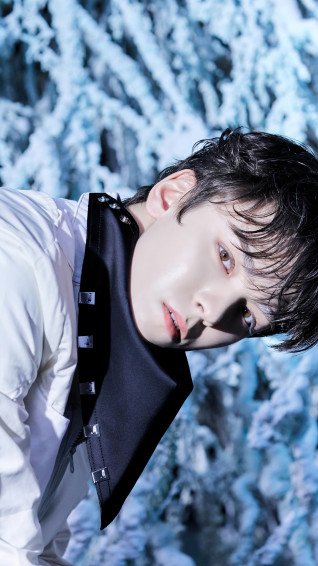 Vernon Seventeen Sector 4k Wallpaper iPhone HD Phone 7090g