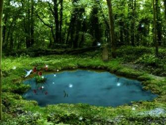 Pond Wallpaper