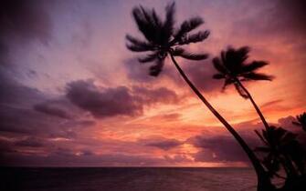 Punta Cana Area On The Coast Of Dominican Republic