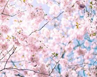 Hello Spring