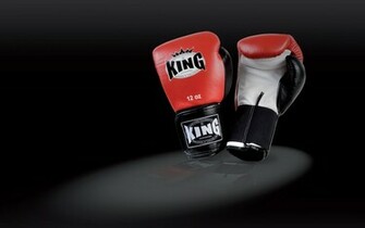 Home Boxing Gloves Wall Art