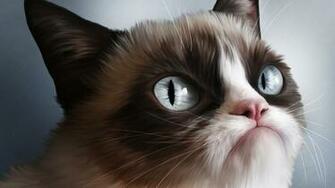 Angry Cat