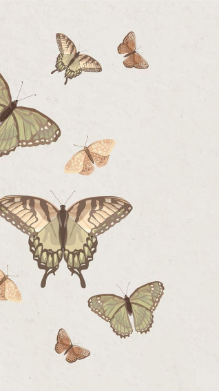 Premium Image Of Aesthetic Butterfly Nature Phone