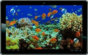 Fish 3d Live Wallpaper For Android Killer