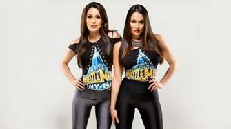 Bella Twins Hot Wallpaper Of Wwe Divas