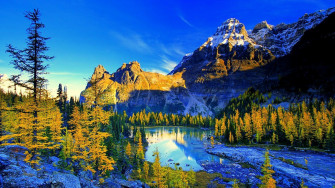 Nature Mountain Forest Landscape Fog Lake UltraHD 4k Wallpaper