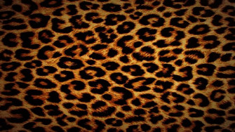 Animal Print Wallpaper